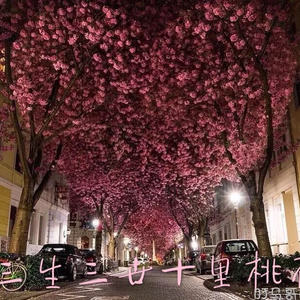 13岁小女孩免费观看电视剧
