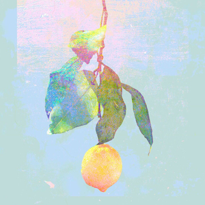 13岁小女孩免费观看电视剧
