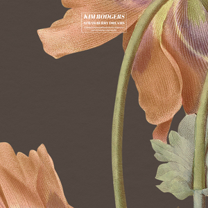 13岁小女孩免费观看电视剧
